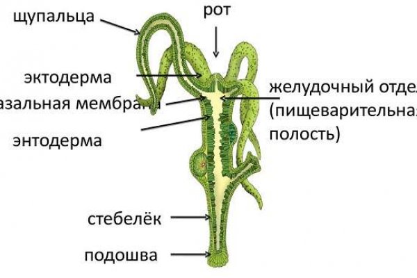 Клирнет ссылка на зеркало маркетплейс кракен