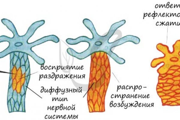 Кракен онион рабочая ссылка