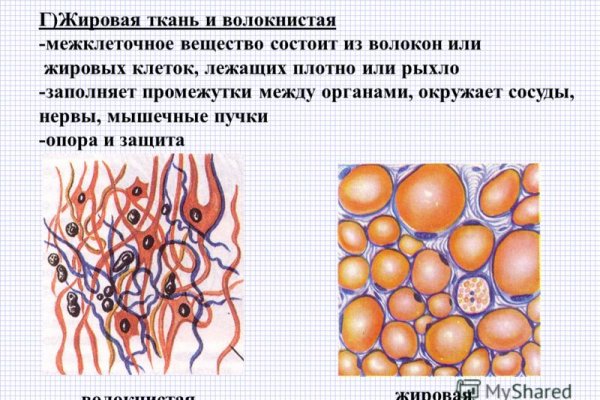 Ссылки зеркала на kraken