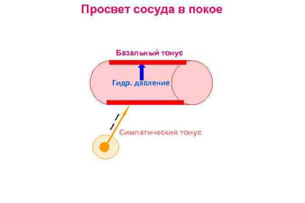 Кракен ссылка тор браузер