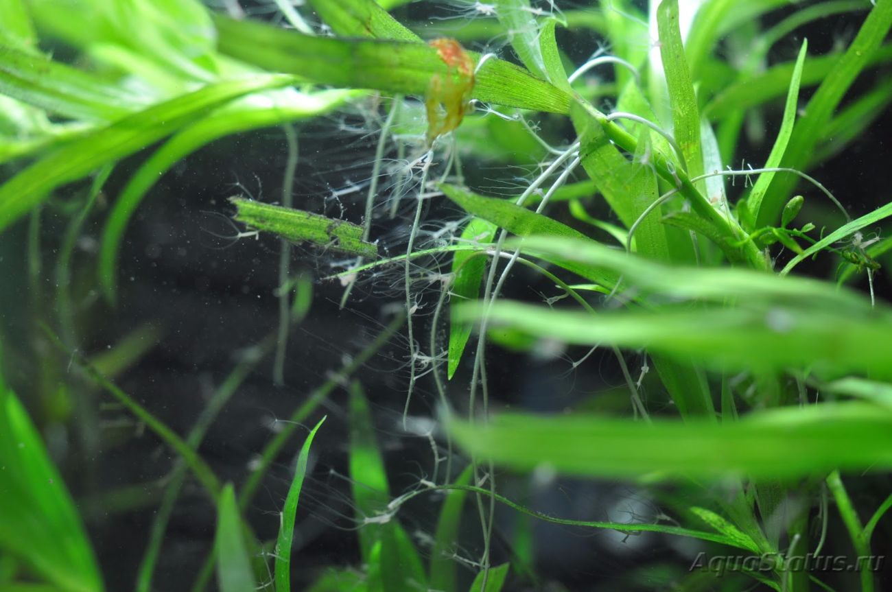 Kraken 23 at